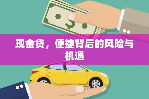 江苏现金贷，便捷背后的风险与机遇