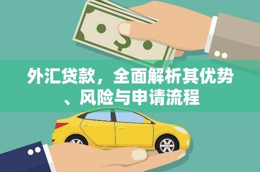 江苏外汇贷款，全面解析其优势、风险与申请流程