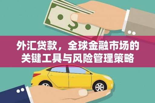 江苏外汇贷款，全球金融市场的关键工具与风险管理策略