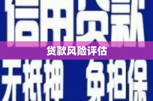 江苏贷款风险评估
