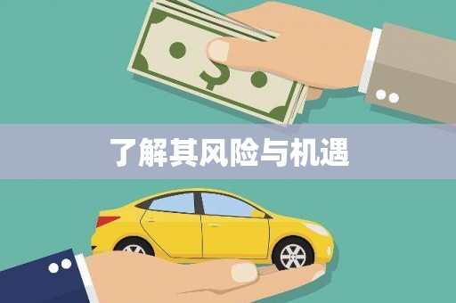 江苏了解其风险与机遇