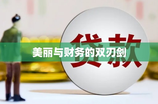 江苏美丽与财务的双刃剑