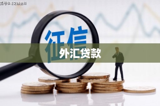 江苏外汇贷款