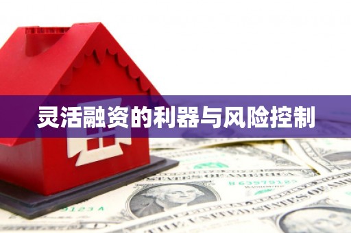 江苏灵活融资的利器与风险控制