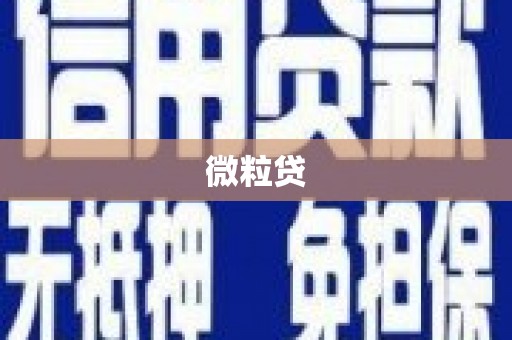 江苏微粒贷
