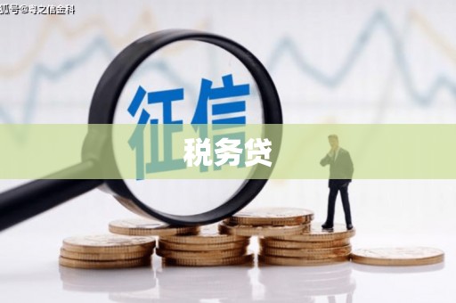 江苏税务贷