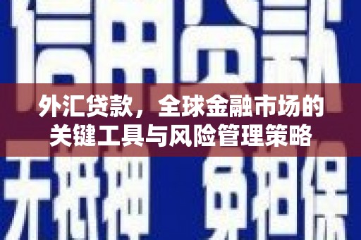 江苏外汇贷款，全球金融市场的关键工具与风险管理策略