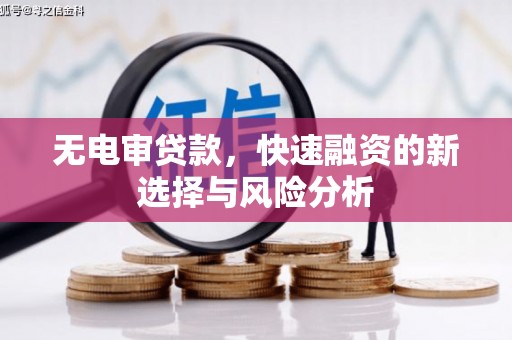 江苏无电审贷款，快速融资的新选择与风险分析