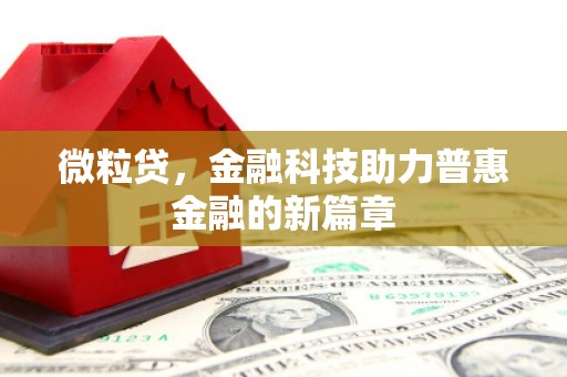 江苏微粒贷，金融科技助力普惠金融的新篇章