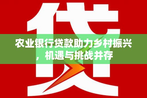 江苏农业银行贷款助力乡村振兴，机遇与挑战并存