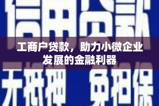 江苏工商户贷款，助力小微企业发展的金融利器