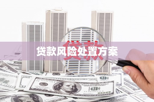 江苏贷款风险处置方案