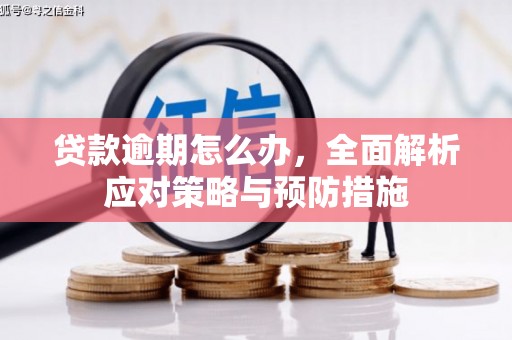 江苏贷款逾期怎么办，全面解析应对策略与预防措施