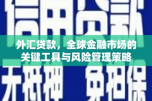 江苏外汇贷款，全球金融市场的关键工具与风险管理策略