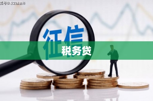 江苏税务贷