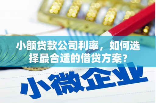 江苏小额贷款公司利率，如何选择最合适的借贷方案？