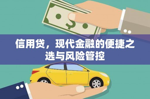 江苏信用贷，现代金融的便捷之选与风险管控