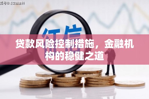 江苏贷款风险控制措施，金融机构的稳健之道