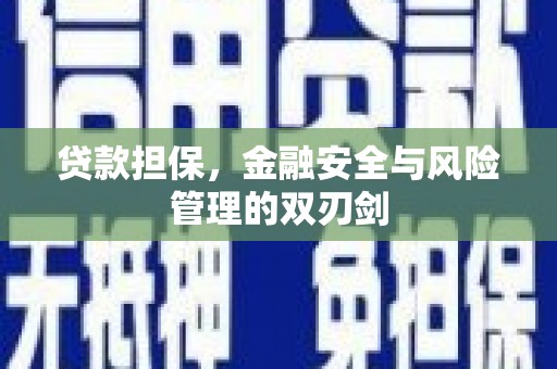 江苏贷款担保，金融安全与风险管理的双刃剑