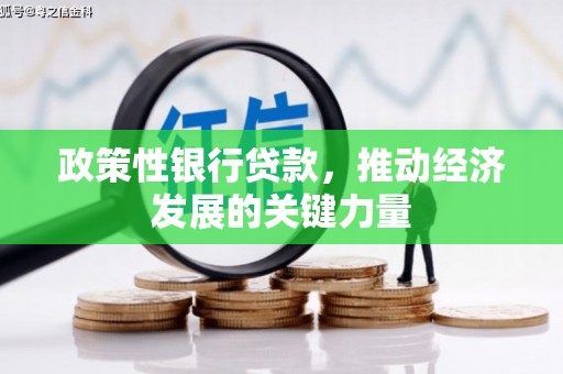 江苏政策性银行贷款，推动经济发展的关键力量