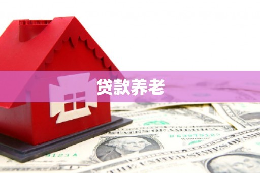 江苏贷款养老
