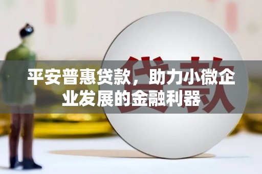 江苏平安普惠贷款，助力小微企业发展的金融利器