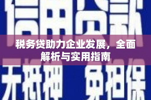 江苏税务贷助力企业发展，全面解析与实用指南