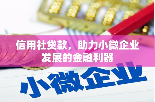 江苏信用社贷款，助力小微企业发展的金融利器