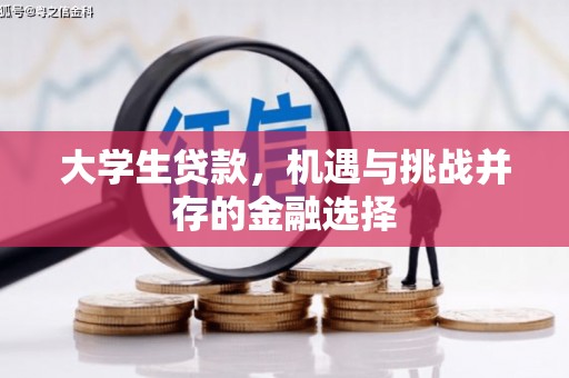 江苏大学生贷款，机遇与挑战并存的金融选择