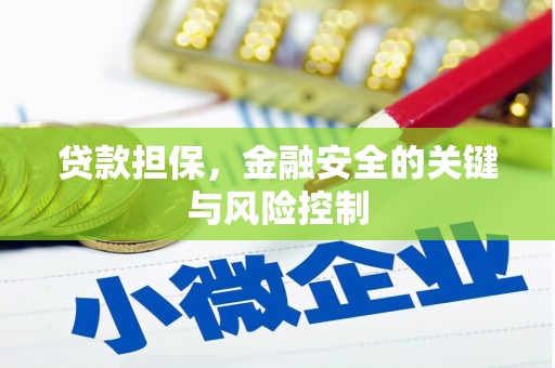江苏贷款担保，金融安全的关键与风险控制