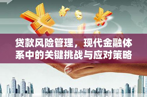 江苏贷款风险管理，现代金融体系中的关键挑战与应对策略