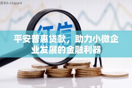 江苏平安普惠贷款，助力小微企业发展的金融利器