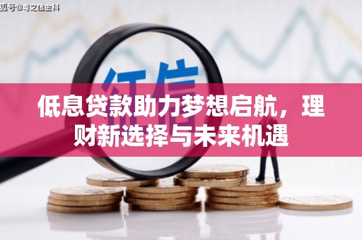 江苏低息贷款助力梦想启航，理财新选择与未来机遇