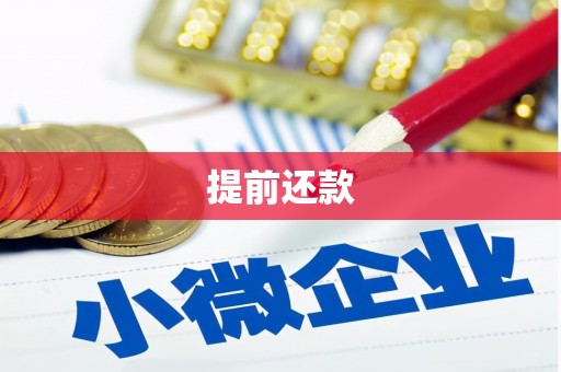 江苏提前还款