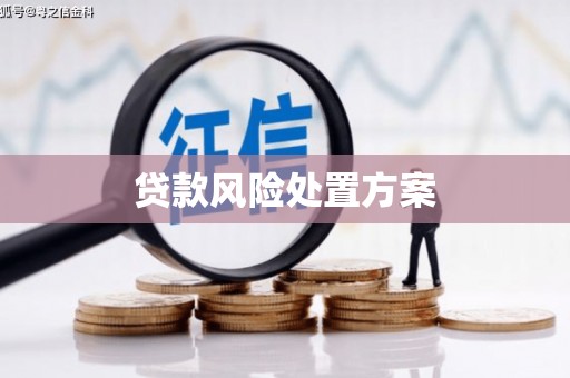 江苏贷款风险处置方案
