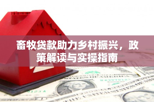 江苏畜牧贷款助力乡村振兴，政策解读与实操指南