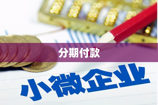 江苏分期付款