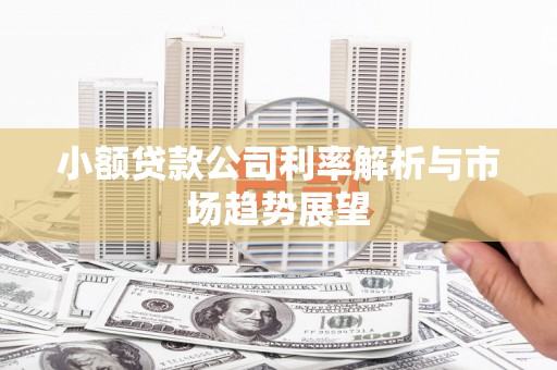 江苏小额贷款公司利率解析与市场趋势展望