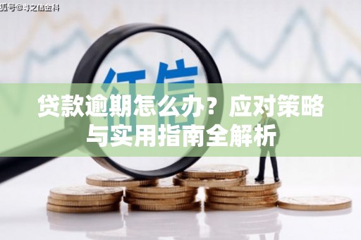 江苏贷款逾期怎么办？应对策略与实用指南全解析