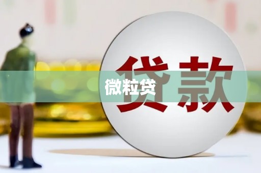 江苏微粒贷