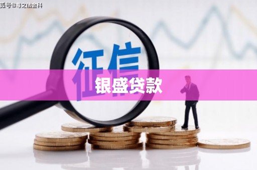 江苏银盛贷款