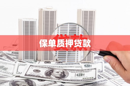 江苏保单质押贷款