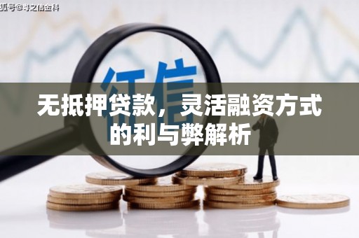 江苏无抵押贷款，灵活融资方式的利与弊解析