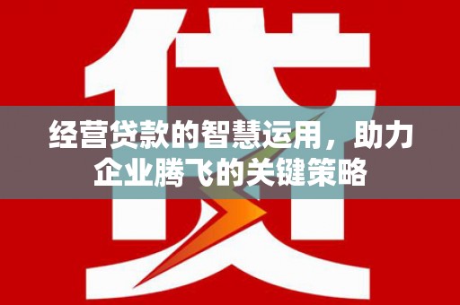 江苏经营贷款的智慧运用，助力企业腾飞的关键策略