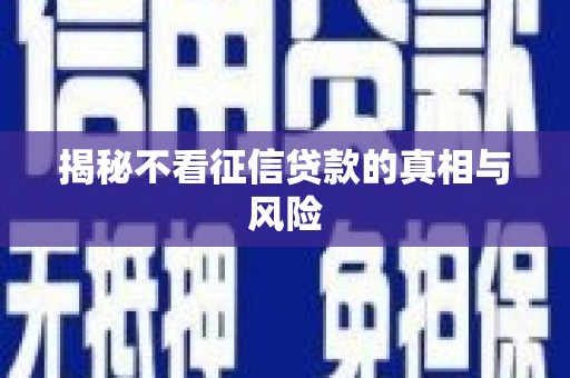 江苏揭秘不看征信贷款的真相与风险