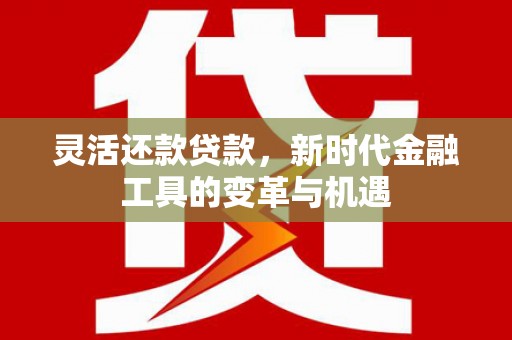 江苏灵活还款贷款，新时代金融工具的变革与机遇