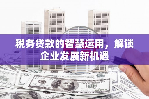 江苏税务贷款的智慧运用，解锁企业发展新机遇