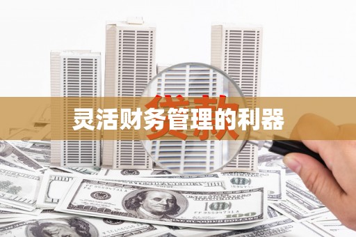 江苏灵活财务管理的利器