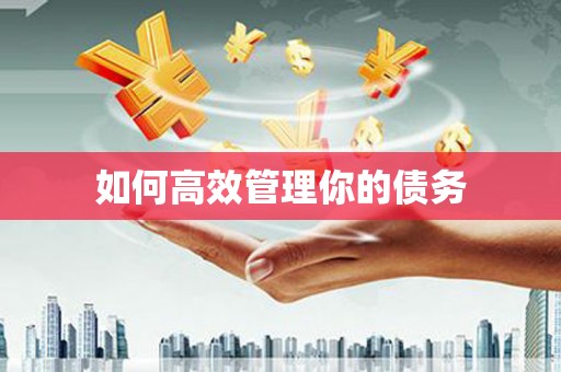 江苏如何高效管理你的债务