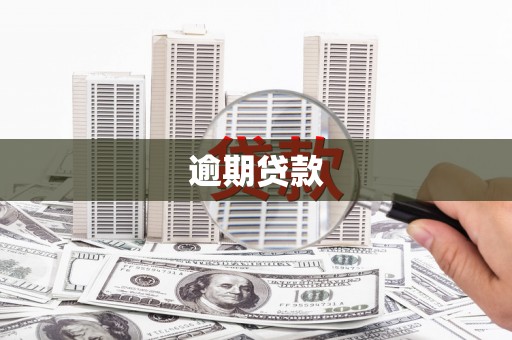 江苏逾期贷款